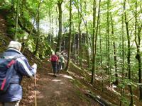 Wanderung mit dem Revierförster auf dem Holzweg rund um Eisenach  &ndash; &copy; Kristin Weigel (Eberhardt TRAVEL)