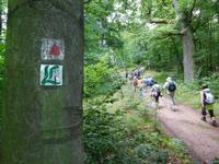 Wanderung mit dem Revierförster auf dem Holzweg rund um Eisenach  &ndash; &copy; Kristin Weigel (Eberhardt TRAVEL)