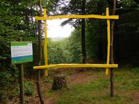 Wanderung auf dem Holzweg - Wartburg-Blick &ndash; &copy; Kristin Weigel (Eberhardt TRAVEL)