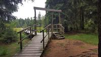 Wanderung zum Veilchenbrunnen im Thüringer Wald - am Schützenberghochmoor &ndash; &copy; Kristin Weigel (Eberhardt TRAVEL)
