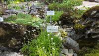 Im Rennsteiggarten Oberhof &ndash; &copy; Kristin Weigel (Eberhardt TRAVEL)