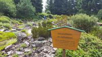 Im Rennsteiggarten Oberhof &ndash; &copy; Kristin Weigel (Eberhardt TRAVEL)