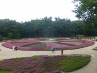 Heidegarten Schneverdingen &ndash; &copy; Kerstin Hugel (Eberhardt TRAVEL)