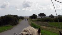 ....Sommerhäuser auf Hiddensee &ndash; &copy; Uta Hertel (Eberhardt TRAVEL)