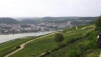 Blick vom Niederwalddenkmal über den Rhein nach Bingen