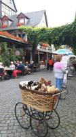 in Rüdesheim &ndash; &copy; Horst Hallfarth (Eberhardt TRAVEL)
