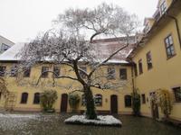 in Halle &ndash; &copy; Sylvia Sann (Eberhardt TRAVEL)