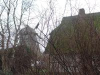 Ahrenshoop &ndash; &copy; Kerstin Hugel (Eberhardt TRAVEL)