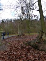 Wildpark Knüll &ndash; &copy; Michael Krause (Eberhardt TRAVEL)