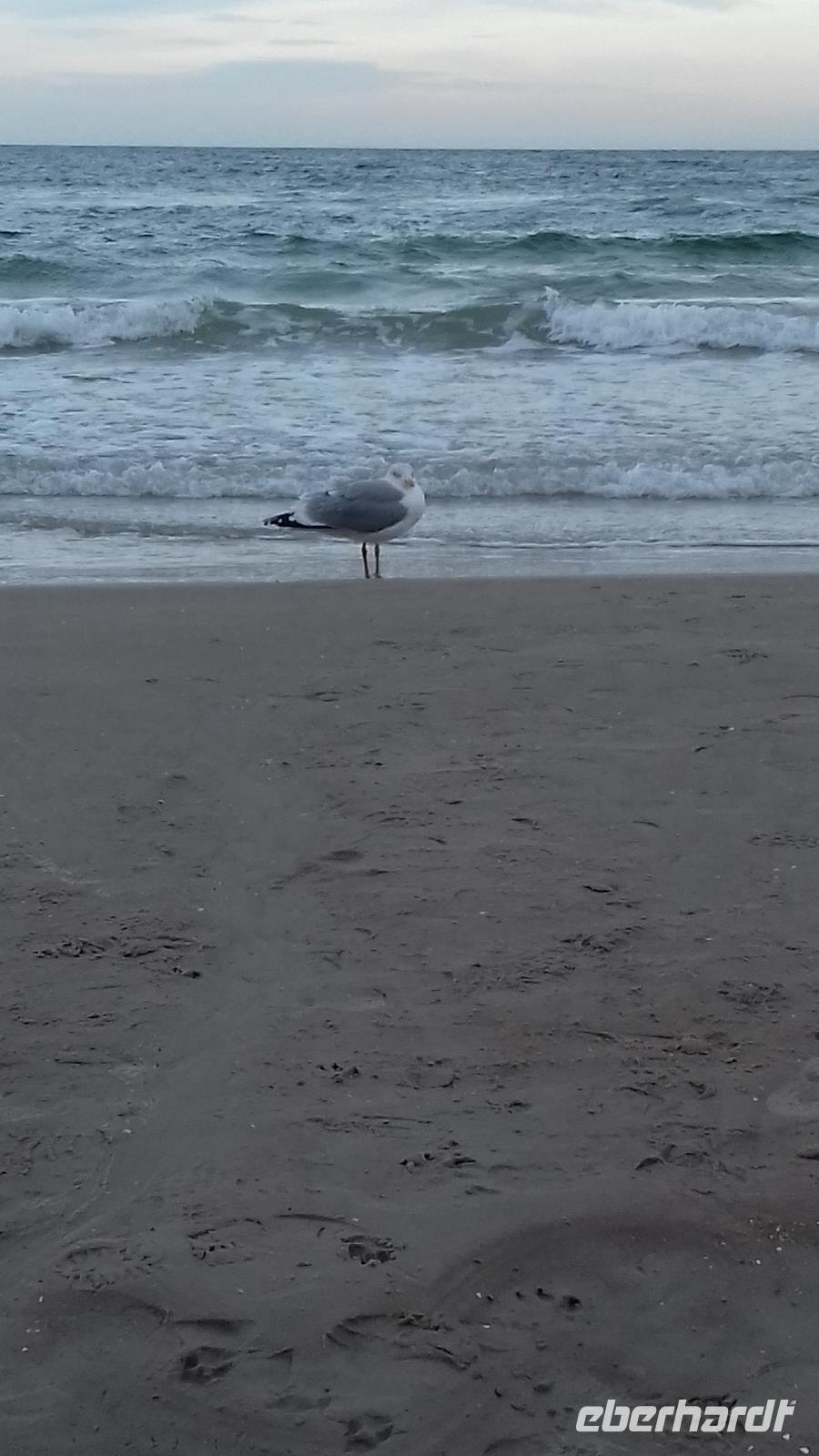 Strandpaziergang &ndash; &copy; Renate Lorenz (Eberhardt TRAVEL)