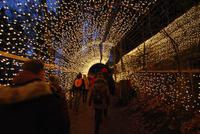 Triberger Weihnachtszauber &ndash; &copy; Eric Richter (Eberhardt TRAVEL)