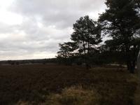  Heidelandschaft &ndash; &copy; Adelheid Fritzsche (Eberhardt TRAVEL)
