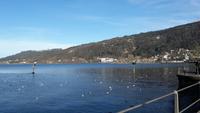 Bregenzer Bucht &ndash; &copy; Uta Hertel (Eberhardt TRAVEL)