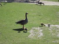 IMG_5104 &ndash; &copy; Margret van Blokland (Eberhardt TRAVEL)