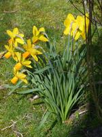 P1020562 &ndash; &copy; Margret van Blokland (Eberhardt TRAVEL)