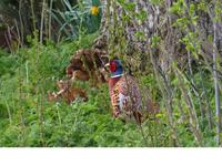 P1020906 &ndash; &copy; Margret van Blokland (Eberhardt TRAVEL)