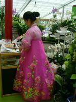 Taiwan - Dame