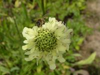 Flora & Fauna &ndash; &copy; Steffi Zimmermann (Eberhardt TRAVEL)