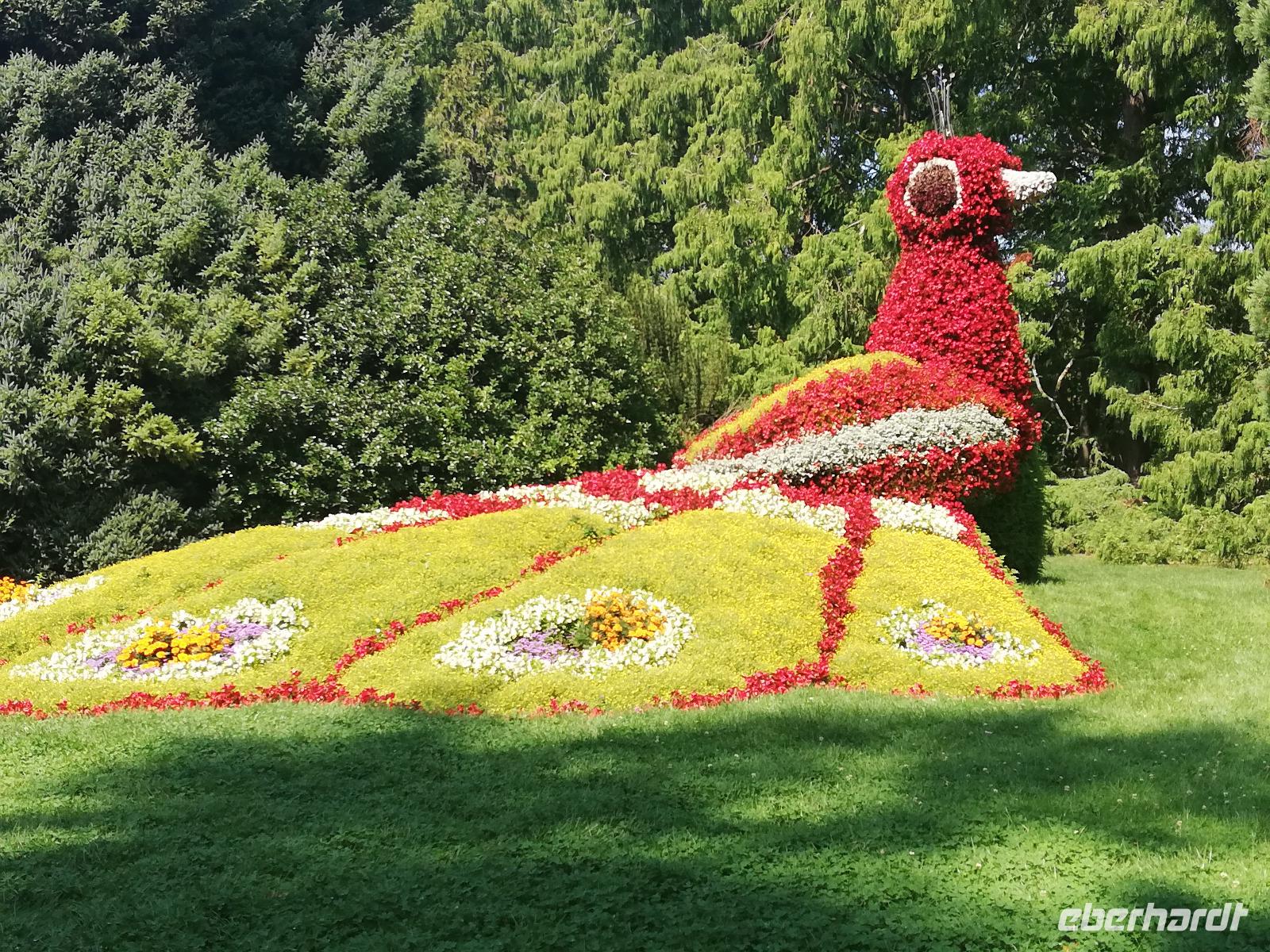 Mainau &ndash; &copy; Steffi Zimmermann (Eberhardt TRAVEL)