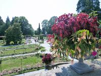 Mainau