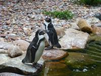 Vogelpark Walsrode &ndash; &copy; Kerstin Hugel (Eberhardt TRAVEL)