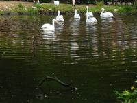 Vogelpark Walsrode &ndash; &copy; Kerstin Hugel (Eberhardt TRAVEL)