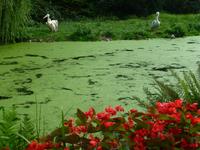 Vogelpark Walsrode &ndash; &copy; Kerstin Hugel (Eberhardt TRAVEL)