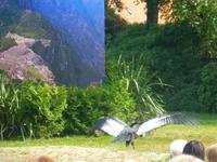 Vogelpark Walsrode