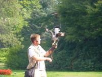 Vogelpark Walsrode &ndash; &copy; Kerstin Hugel (Eberhardt TRAVEL)