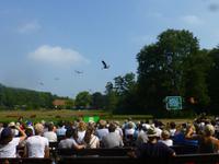 Vogelpark Walsrode &ndash; &copy; Kerstin Hugel (Eberhardt TRAVEL)