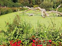 Vogelpark Walsrode &ndash; &copy; Martina Pötschke (Eberhardt TRAVEL)