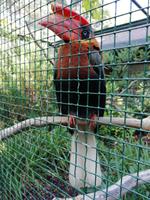 Vogelpark Walsrode &ndash; &copy; Martina Pötschke (Eberhardt TRAVEL)