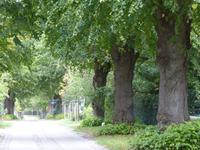 P1060569 &ndash; &copy; Margret van Blokland (Eberhardt TRAVEL)