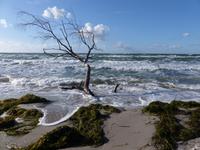 P1060811 &ndash; &copy; Margret van Blokland (Eberhardt TRAVEL)