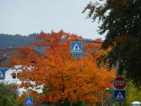 Korbach &ndash; &copy; Kerstin Hugel (Eberhardt TRAVEL)