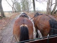 P1080724 &ndash; &copy; Margret van Blokland (Eberhardt TRAVEL)