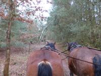 P1080742 &ndash; &copy; Margret van Blokland (Eberhardt TRAVEL)