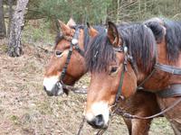 P1080829 &ndash; &copy; Margret van Blokland (Eberhardt TRAVEL)