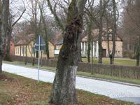 P1080842 &ndash; &copy; Margret van Blokland (Eberhardt TRAVEL)