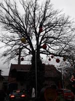 Erlangen &ndash; &copy; Sylvia Sann (Eberhardt TRAVEL)
