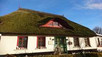Da will man doch gleich Ferien an der Ostsee machen - Wustrow &ndash; &copy; Simone Willner (Eberhardt TRAVEL)