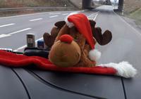 Unser Maskottchen &ndash; &copy; Gina Egenolf (Eberhardt TRAVEL)