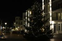 DER Tannenbaum &ndash; &copy; Alina Konstantinov (Eberhardt TRAVEL)