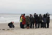 Immer noch am Muscheln sammeln &ndash; &copy; Alina Konstantinov (Eberhardt TRAVEL)