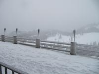 Sonnenalm Blick