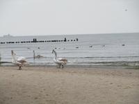 Strand &ndash; &copy; Heike Meinhold (Eberhardt TRAVEL)