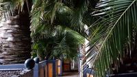 Palmenhaus Bad Pyrmont 20190101 154048 &ndash; &copy; Marlies Thrum (Eberhardt TRAVEL)