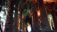 Palmenhaus Bad Pyrmont 20190101 160314 &ndash; &copy; Marlies Thrum (Eberhardt TRAVEL)