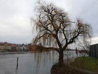 Konstanz &ndash; &copy; Steffi Zimmermann (Eberhardt TRAVEL)