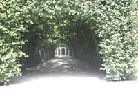 Eremitage in Bayreuth &ndash; &copy; Sylvia Sann (Eberhardt TRAVEL)